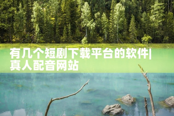 有几个短剧下载平台的软件