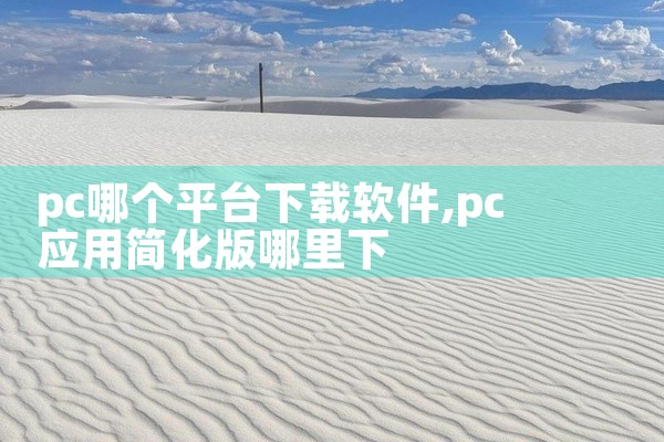 pc哪个平台下载软件