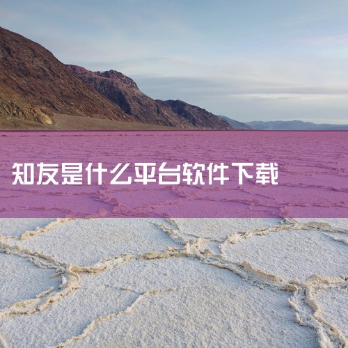 百度知道用户被称为芝麻，你也可以叫知友。百度知道是知识分享的平台，有疑问可以提出，让知友帮助，有知识可以分享给知友，分享的同时可以得到一定的财富值，财富值可用于兑换物品，兑换比例600财富值=1元。百|