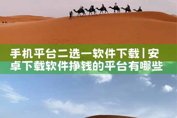 手机平台二选一软件下载
